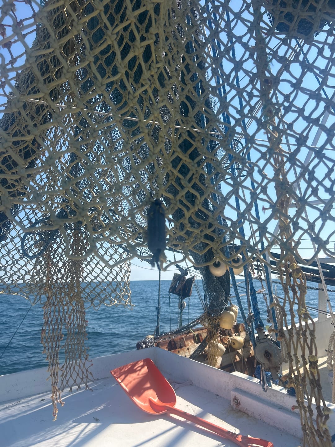 Customer photo review of Sharkbanz Fishing - Zeppelin - Shark Deterrent Tackle