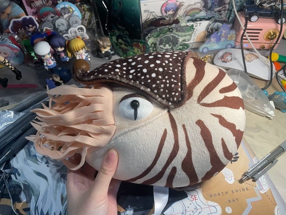 Customer photo review of Nautilus Plush Toy – Soft and Realistic Marine Stuffed Animal