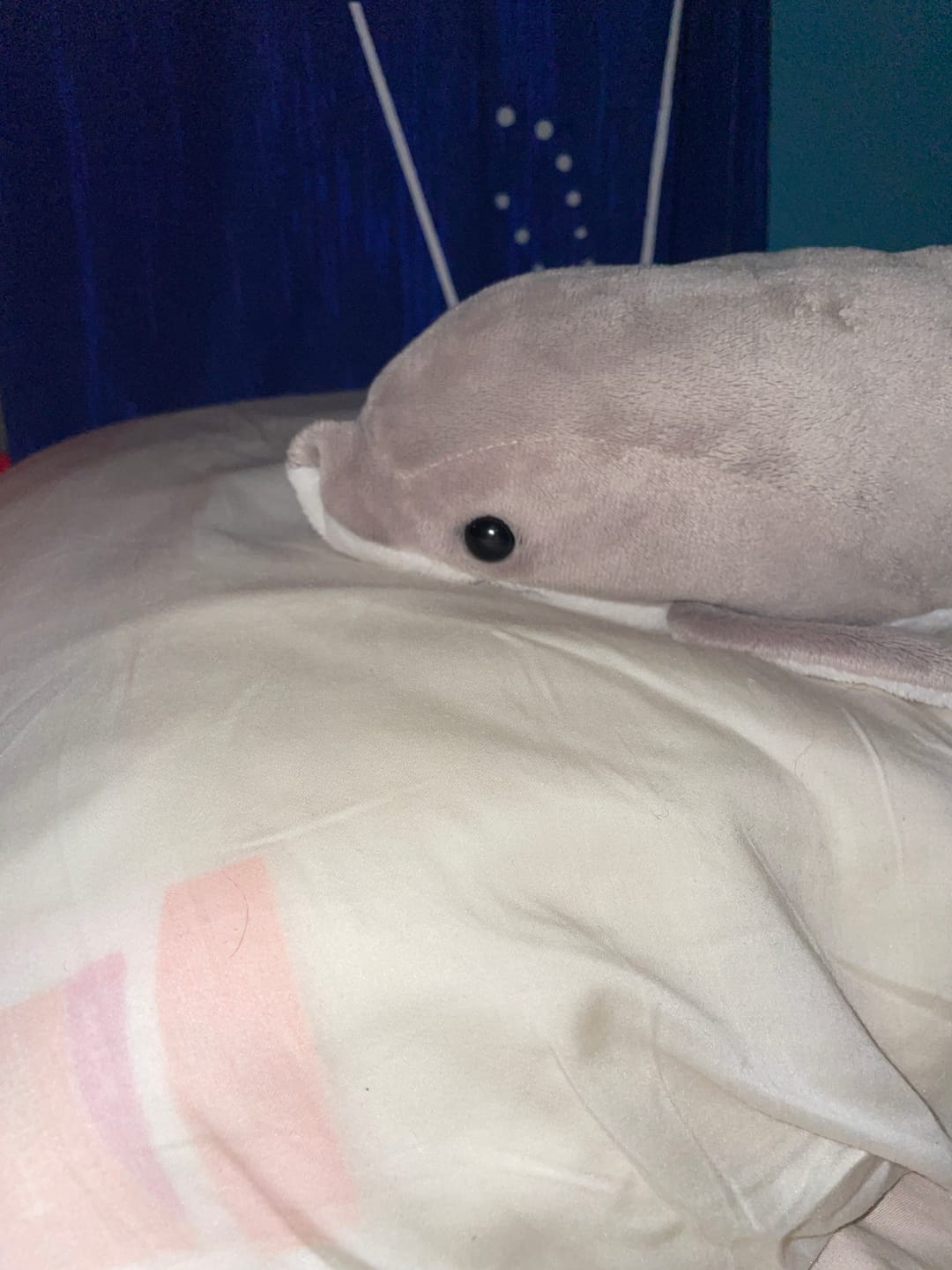 Customer photo review of Signature Bamboo Pillowcase