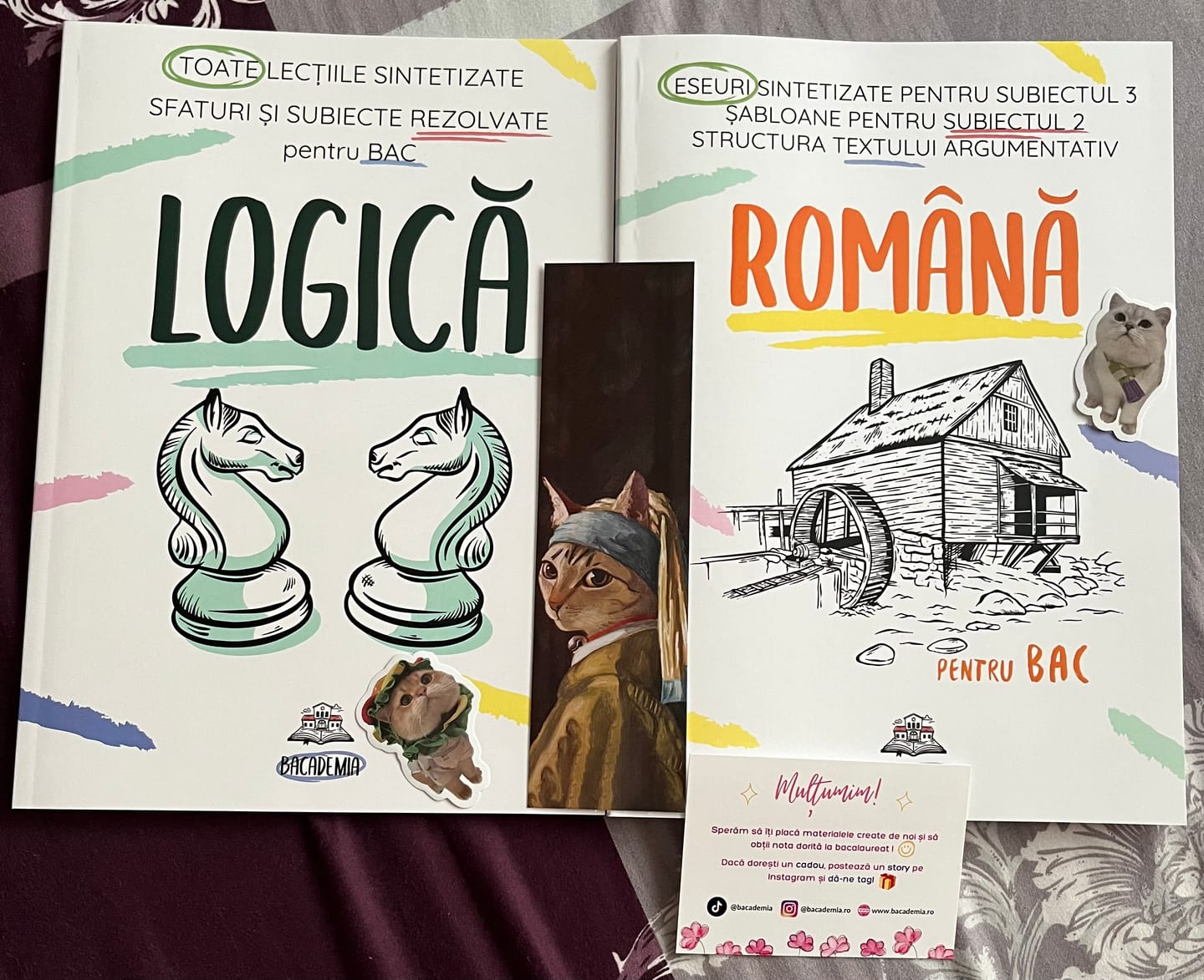 Customer photo review of Pachet Bacalaureat (Română + Logică) Bacademia