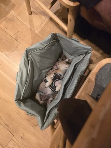 Customer photo review of Matcha┃The Puffer Carrier