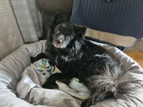 Customer photo review of CalmBed - Motverkar stress & hjälper mot ångest