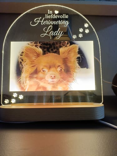 Customer photo review of In liefdevolle herinnering hond/kat ledlamp