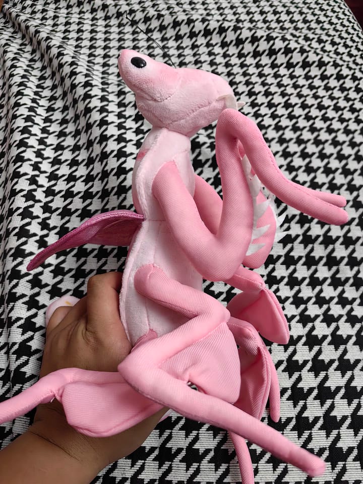 Customer photo review of Realistic Pink Orchid Mantis Plush – Lifelike, Soft, and Perfect for Insect Enthusiasts