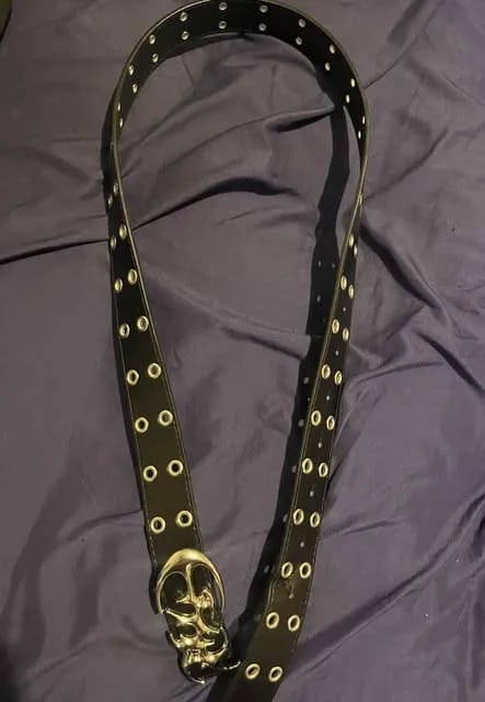 Customer photo review of THE COSMIC BELT