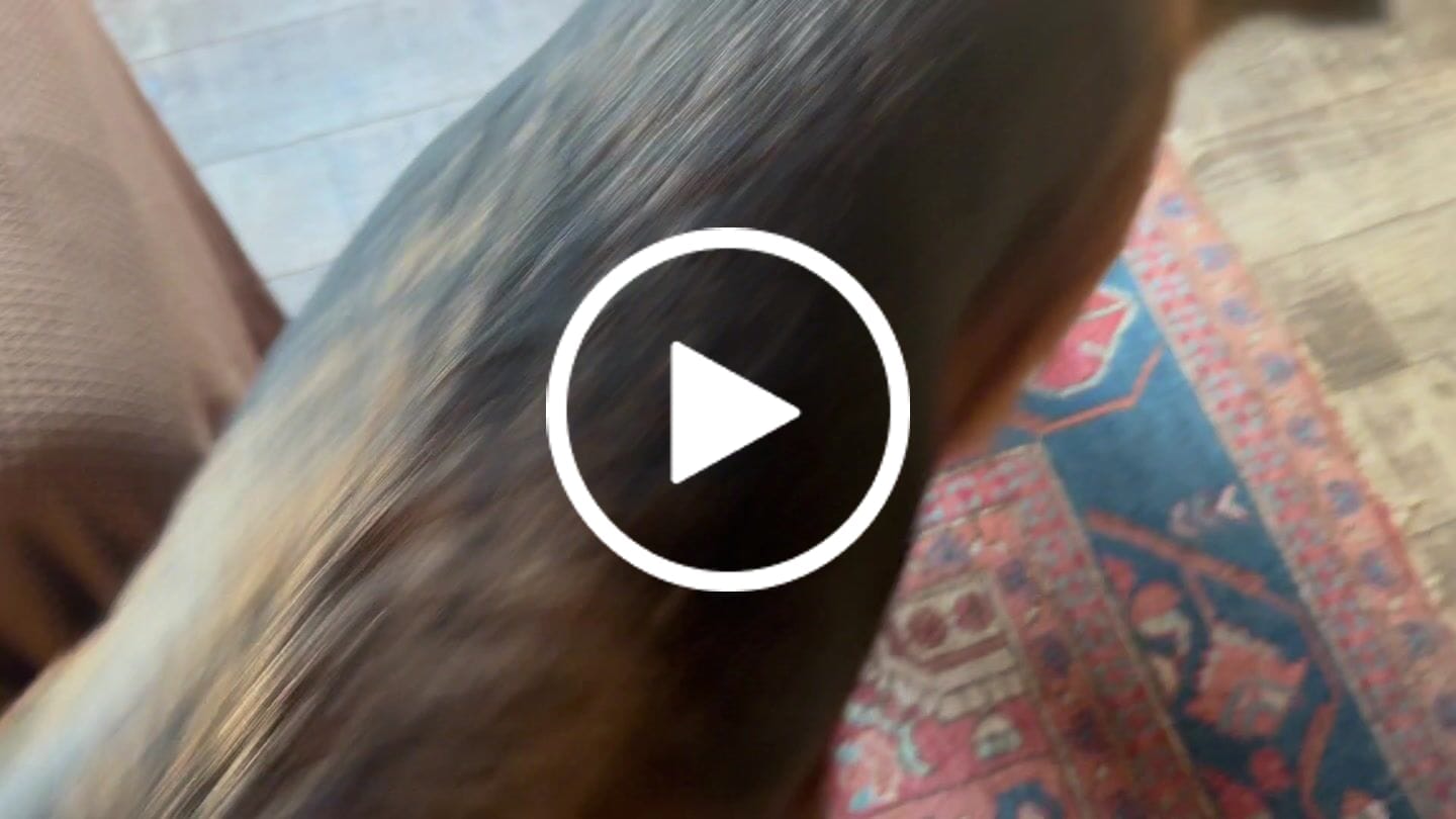 Customer video review of Pawdrate™ Filtered Water Fountain (Battery Version)