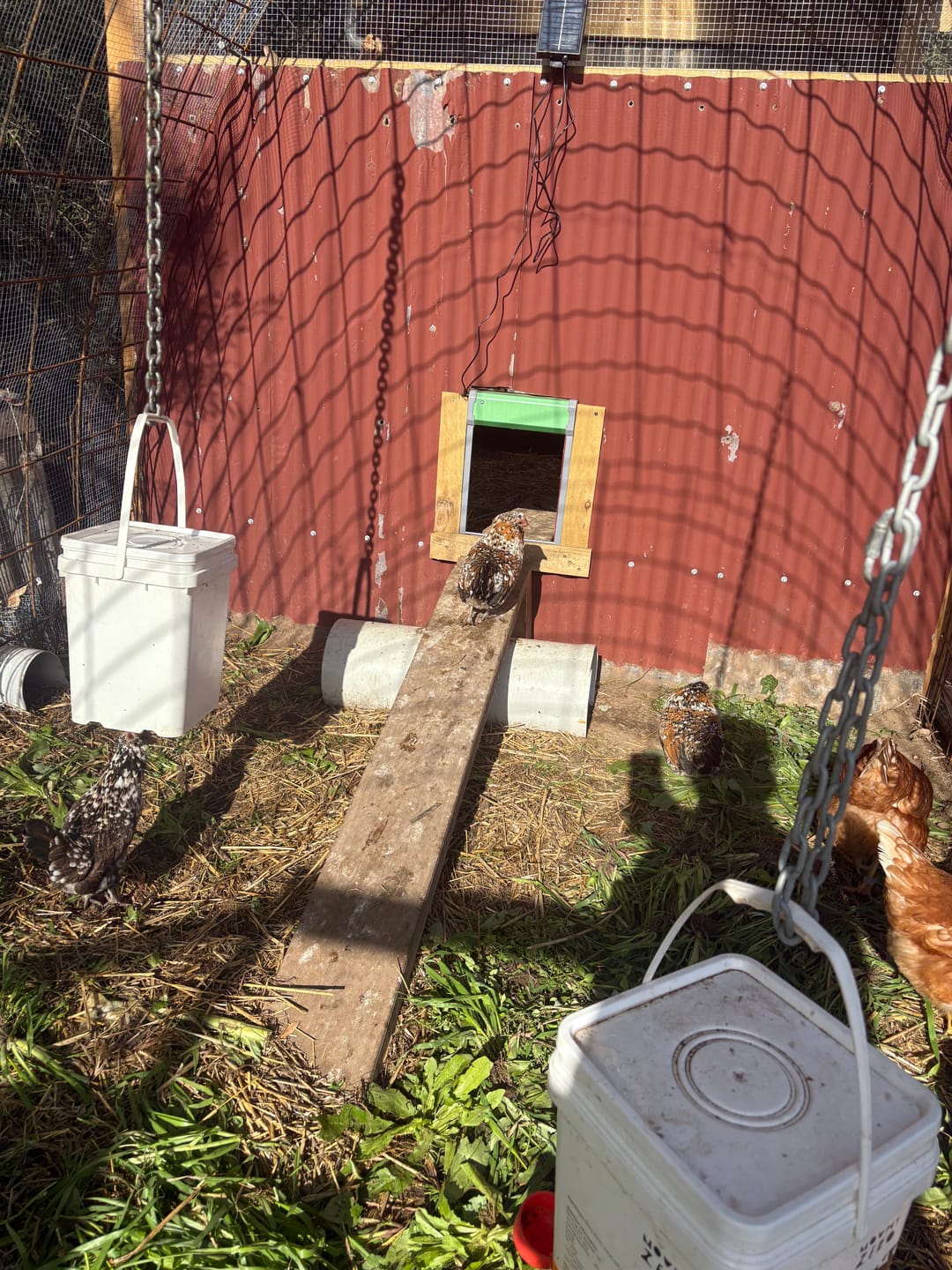 Customer photo review of Pets Gear Automatic Chicken Coop Door Solar Powered