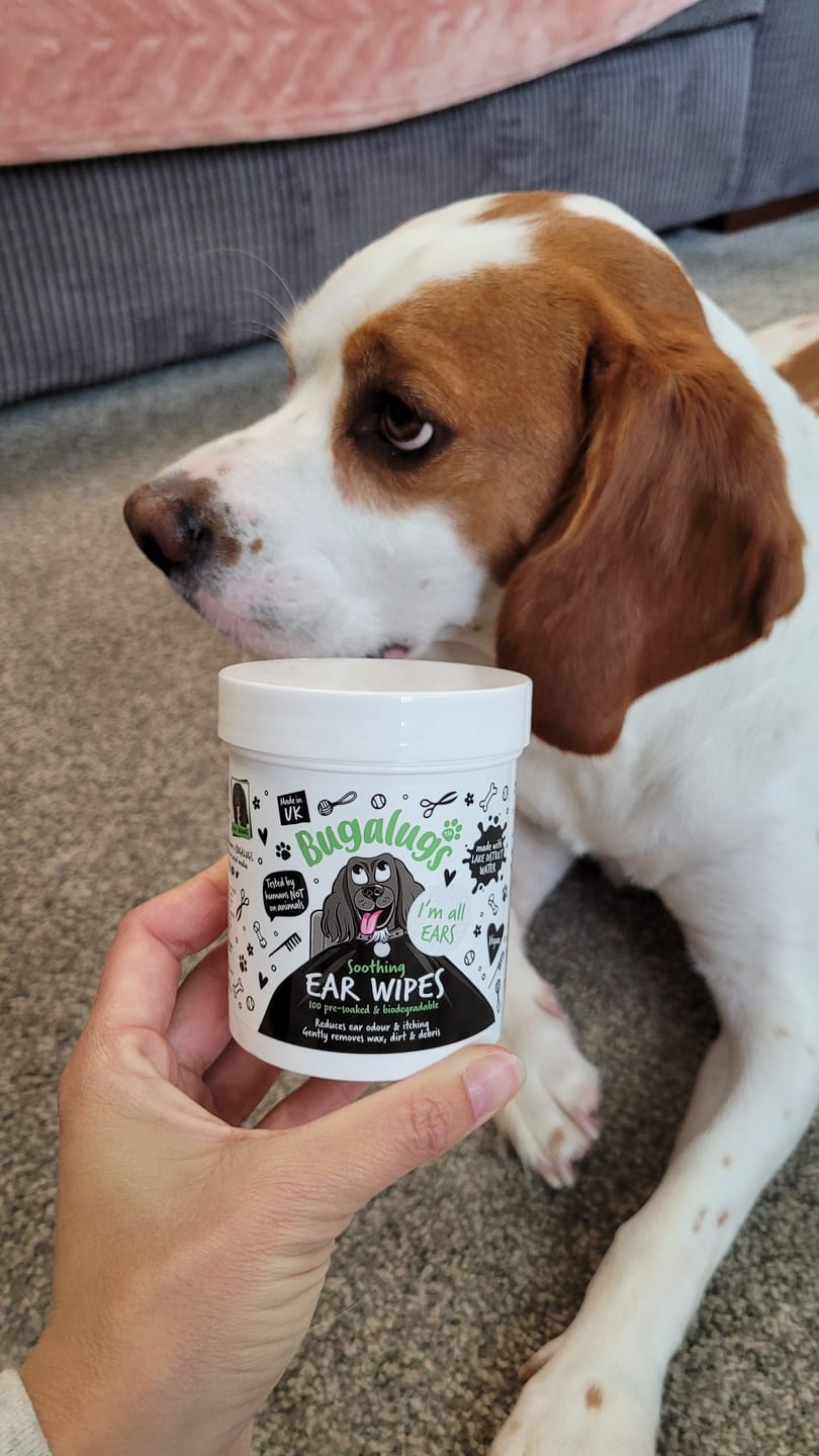 Customer photo review of Soothing Ear Wipes for Dogs 100 Pre-soaked & Biodegradable Wipes