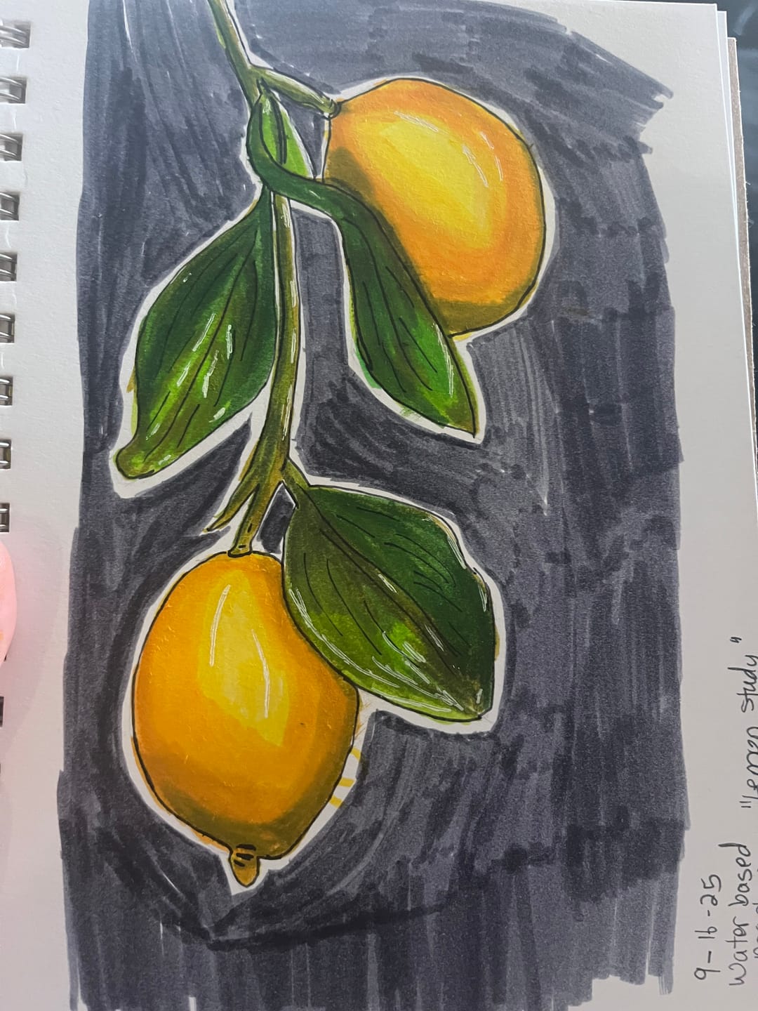 Customer photo review of Ohuhu Maui 160 Colors Dual Tips Water Based Art Markers, Brush & Fineliner