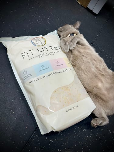 Customer photo review of 3 Month Supply - 1 Cat