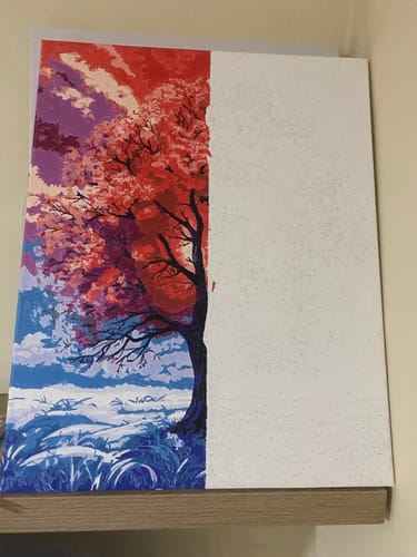 Customer photo review of צביעה לפי מספרים - PBN0135