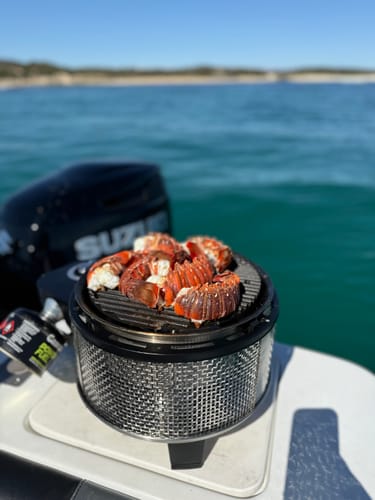 Customer photo review of COBB Grill Gas Bundle with Pizza Stone