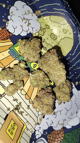 Customer photo review of Gummy Sorbet - THCa Flower