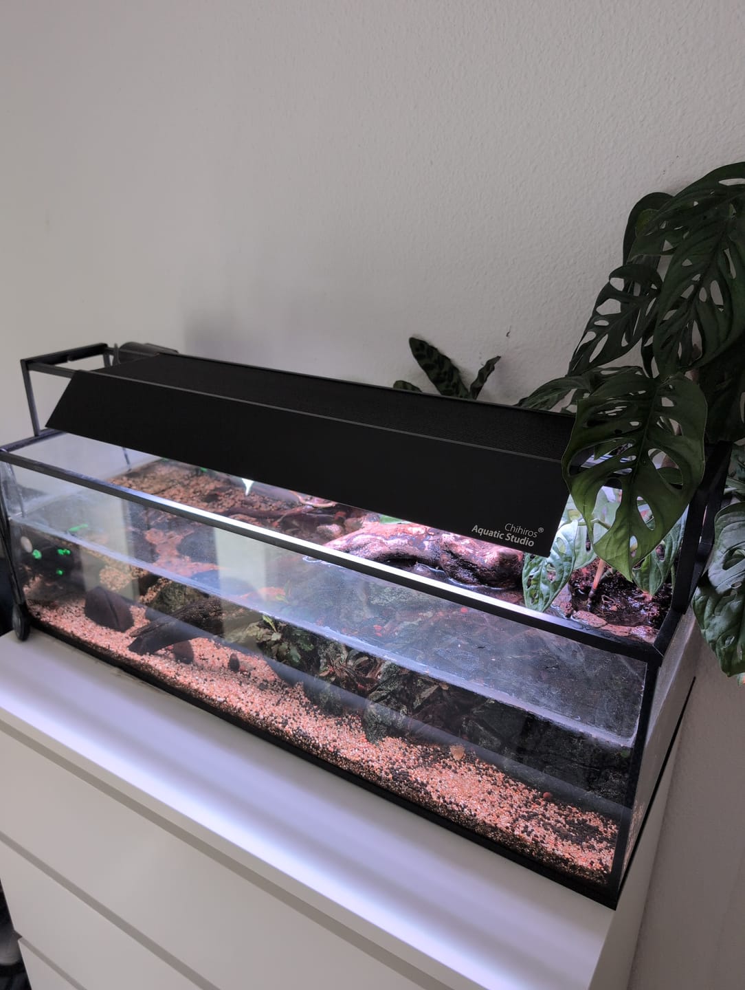 Customer photo review of Chihiros WRGB II Slim LED Light