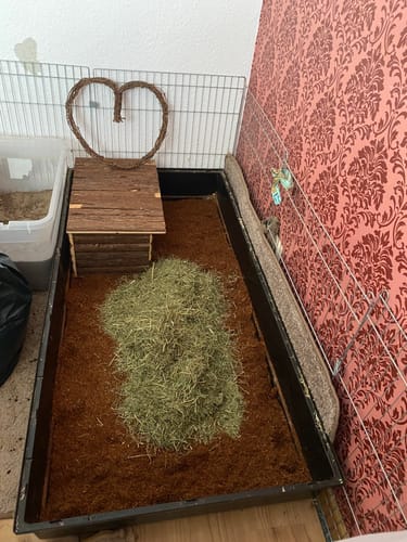 Customer photo review of Kleintiereinstreu