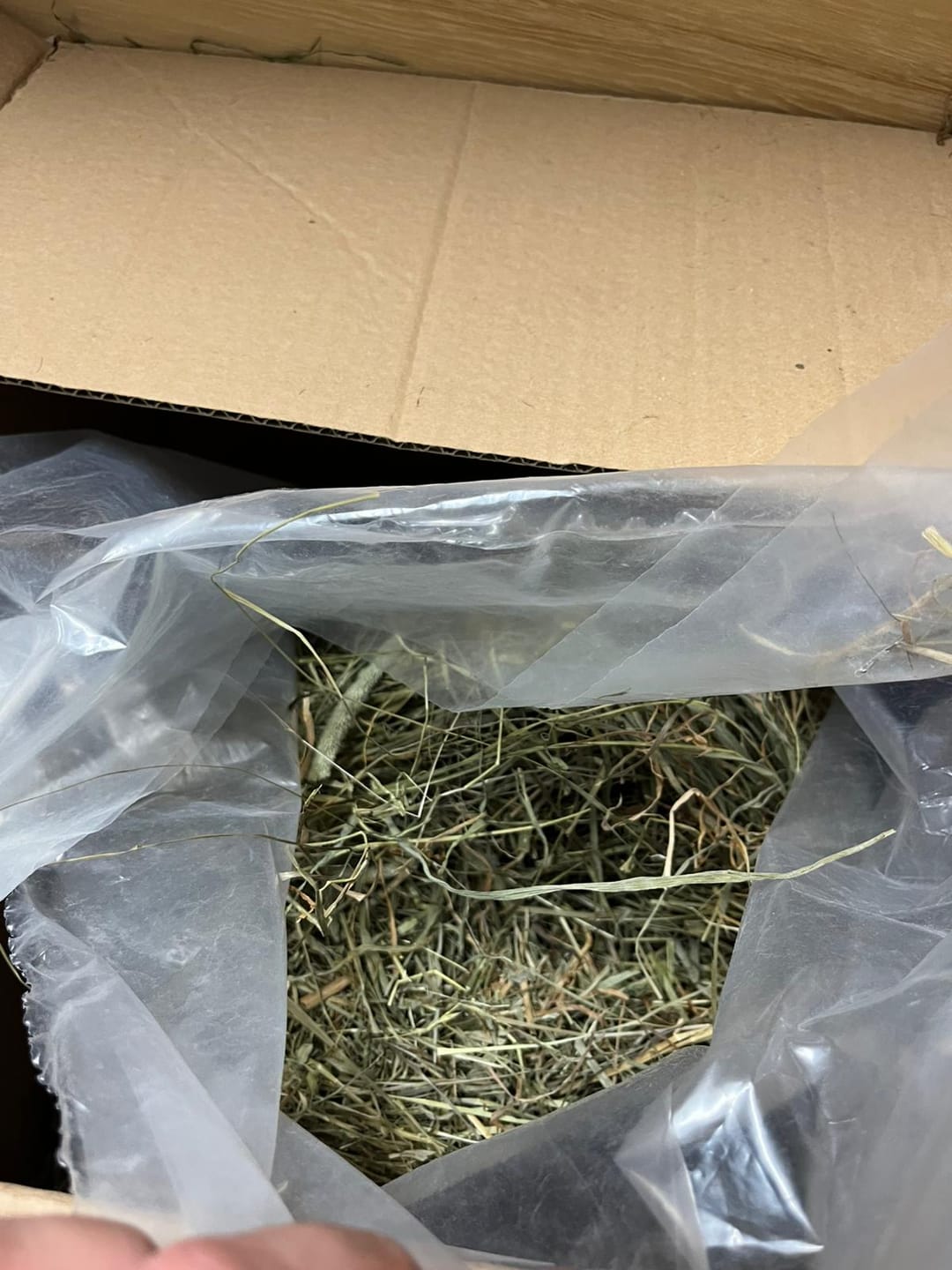Customer photo review of Feno BIO by petter®