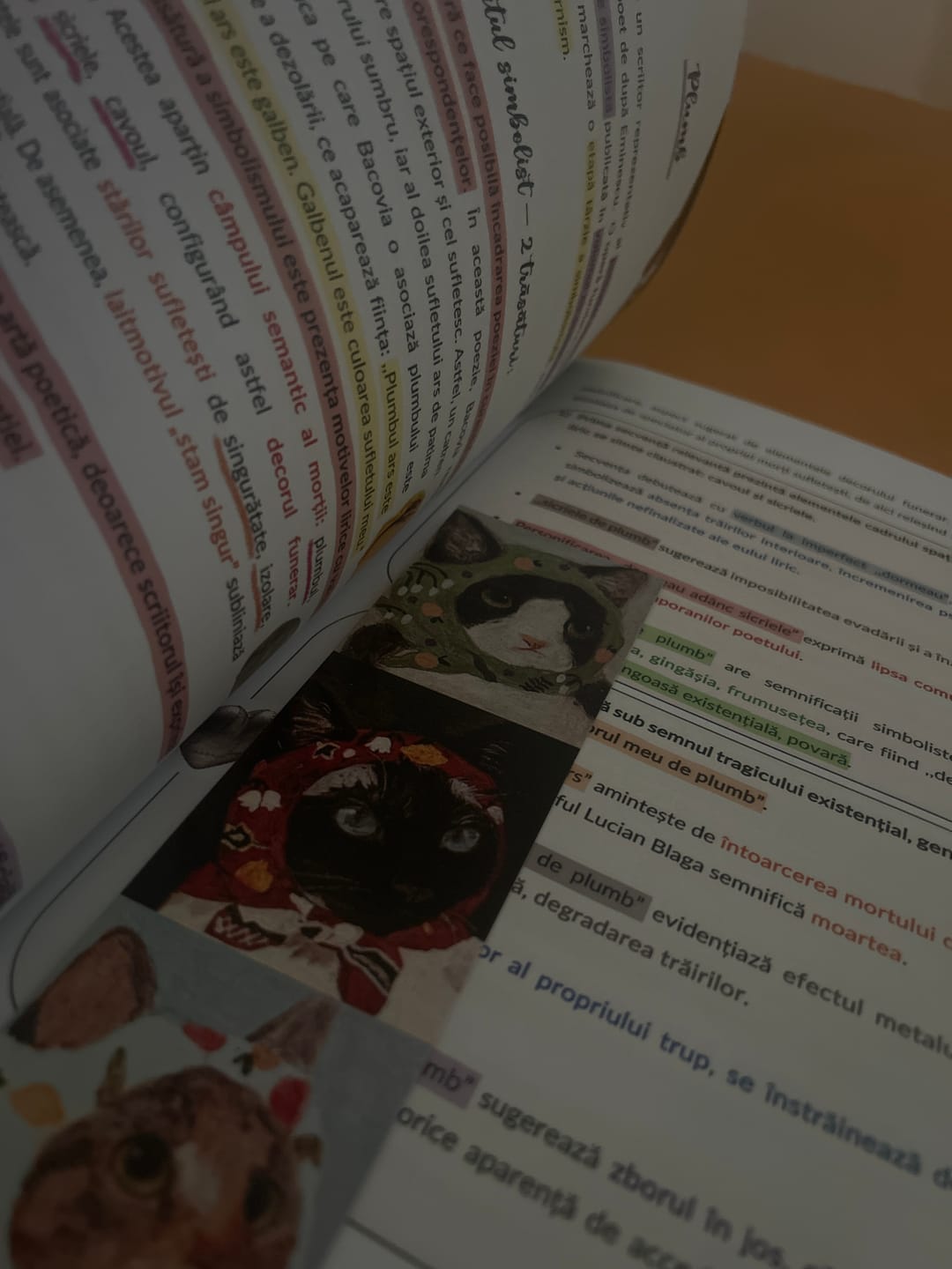 Customer photo review of Pachet Bacalaureat (Română + Istorie) Bacademia