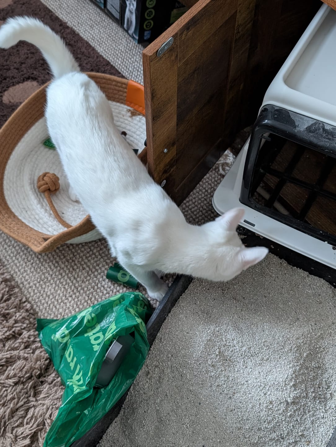 Customer photo review of W225 Scented Range - 10KG