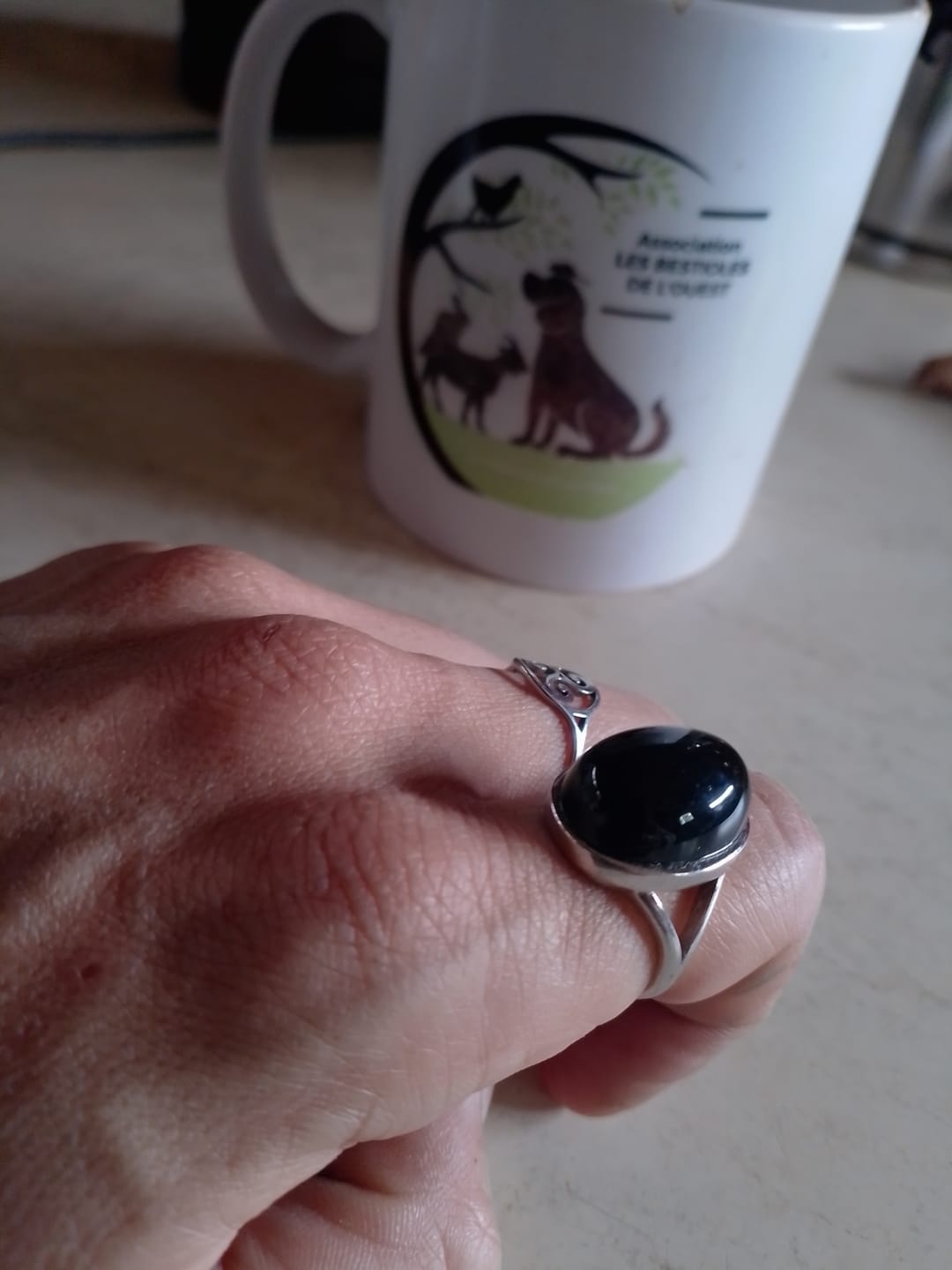 Customer photo review of Bague Ajustable "Guérison de L'Âme" en Obsidienne Œil Céleste & Argent