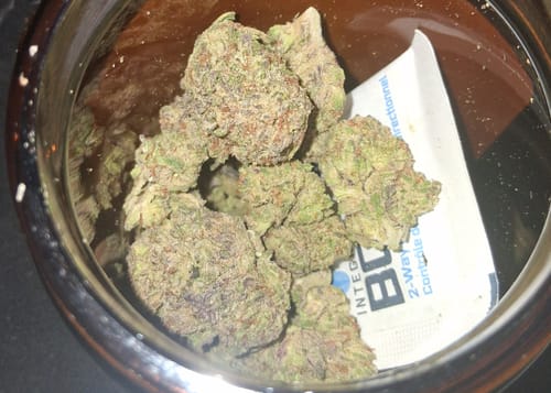 Customer photo review of Indoor Smalls