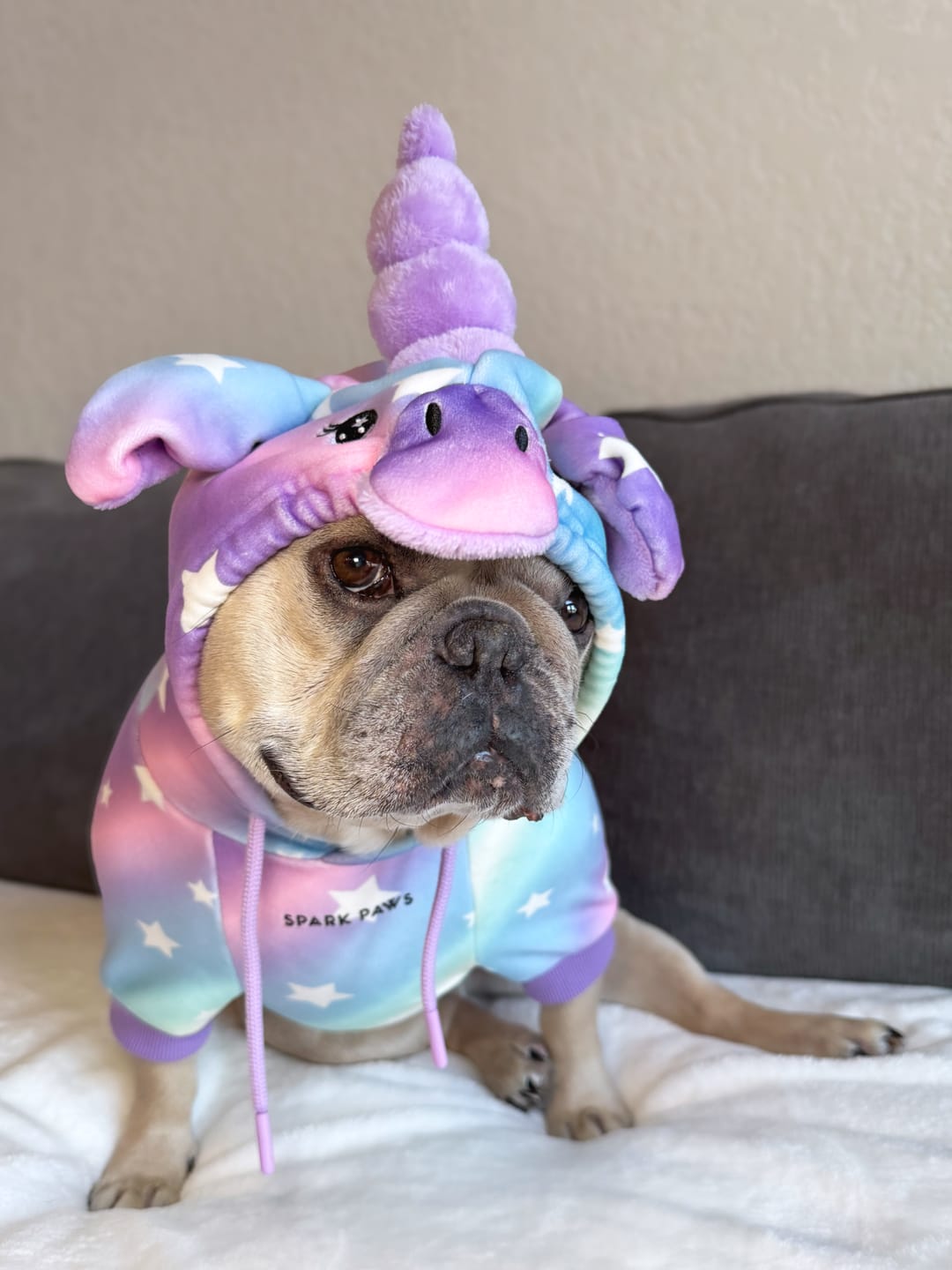 Customer photo review of Halloween Dog Hoodie - Unicorn