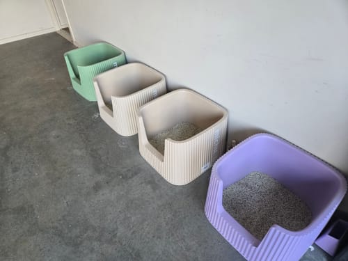 Customer photo review of Michu Premium Mixed Tofu Cat Litter Pro Gen2 6L- Value Box 5 kg
