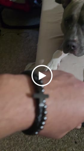 Customer video review of FIDES Cross Leather & Magnetic Hematite Titanium Bead Bracelet: Helps Pair Veterans With A Service Dog Or Shelter Dog