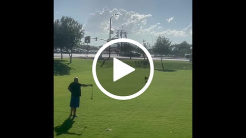 Customer video review of Grizzly Tug Toy