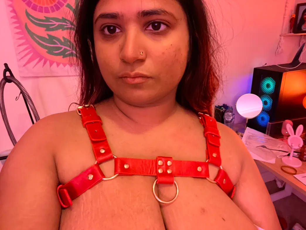 Customer photo review of COOPER CHEST HARNESS