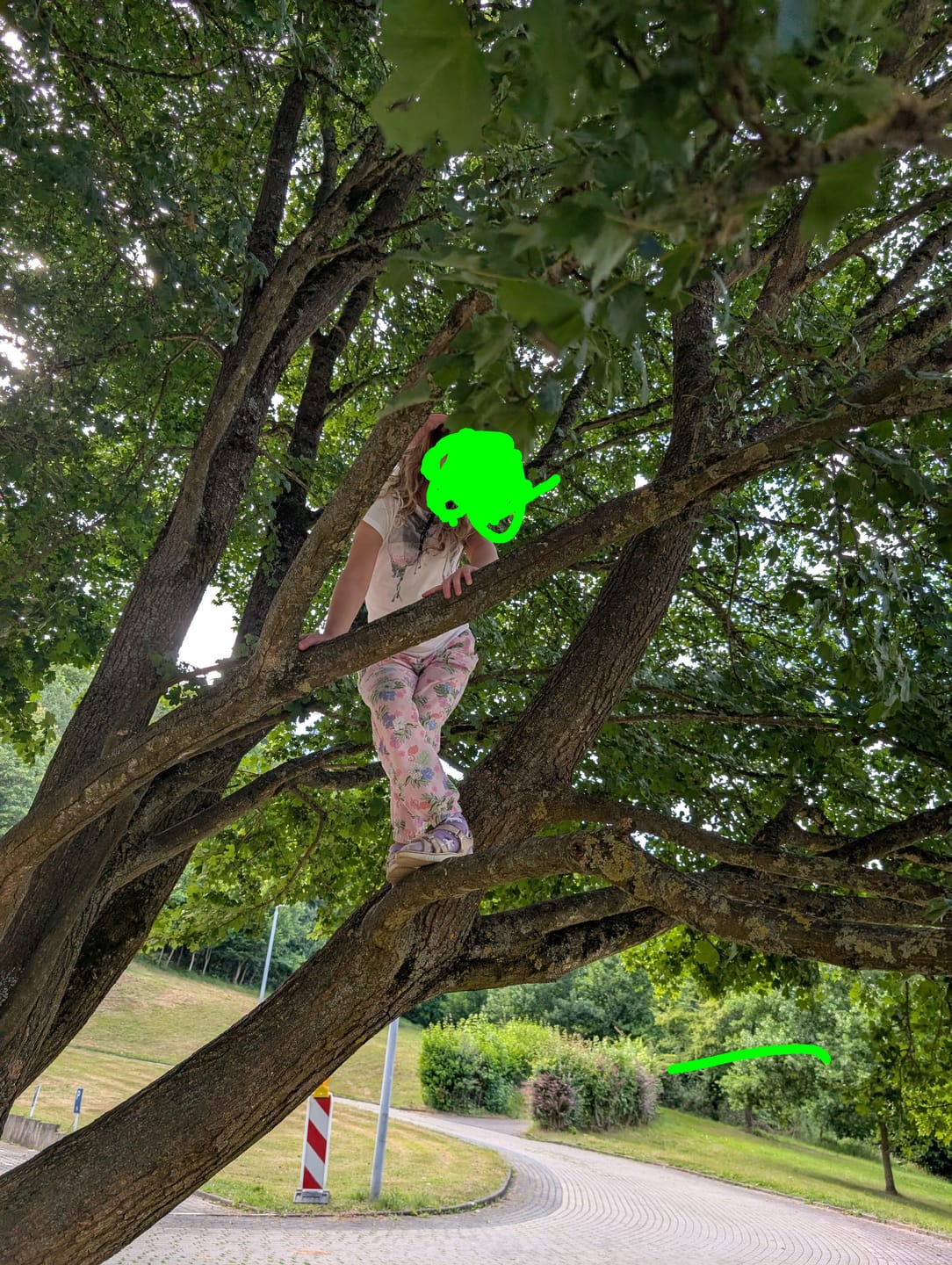 Customer photo review of Edubini Gefunden! Outdoor Suchspiel für Kinder
