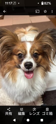 Customer photo review of 本物そっくり！愛犬キーホルダー♪