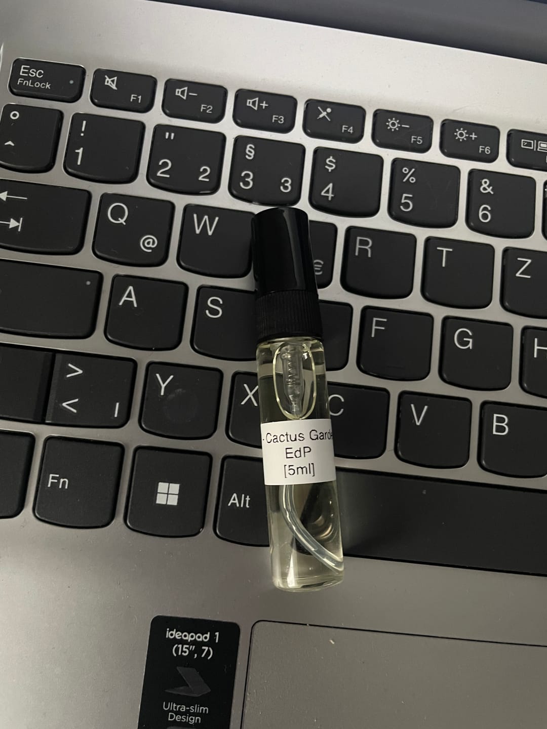 Customer photo review of Louis Vuitton - Cactus Garden