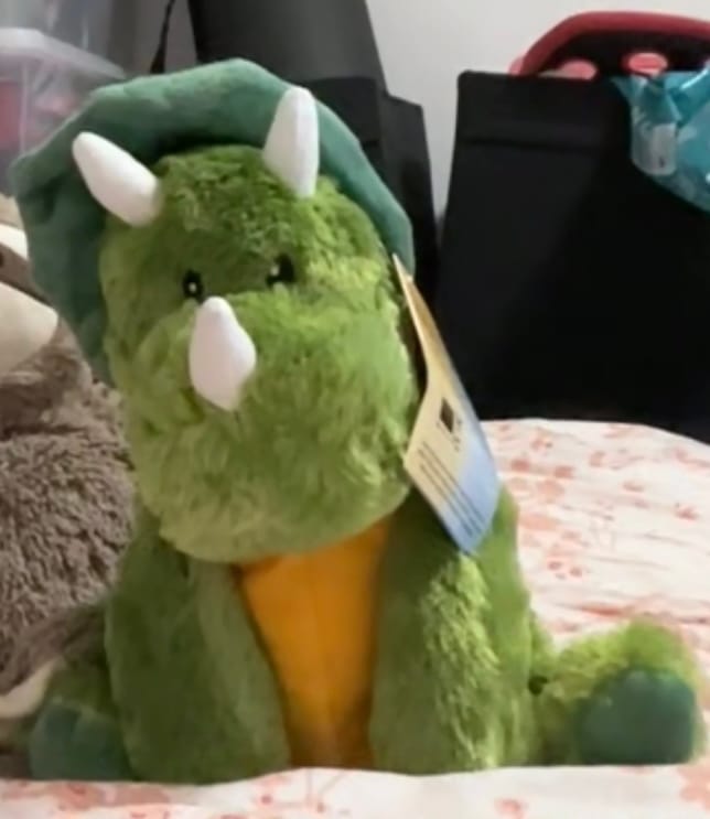 Customer photo review of Dino Dinosaur Warm Pal - Microwaveable, Lavender-Scented Plushies