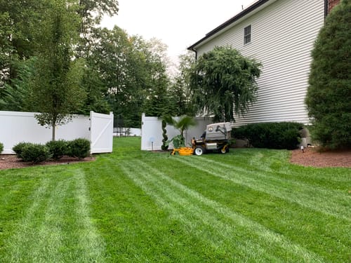 Customer photo review of GCI Turf Spreader Elite Grass Seed