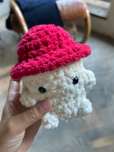 Customer photo review of Alize Softy Plus