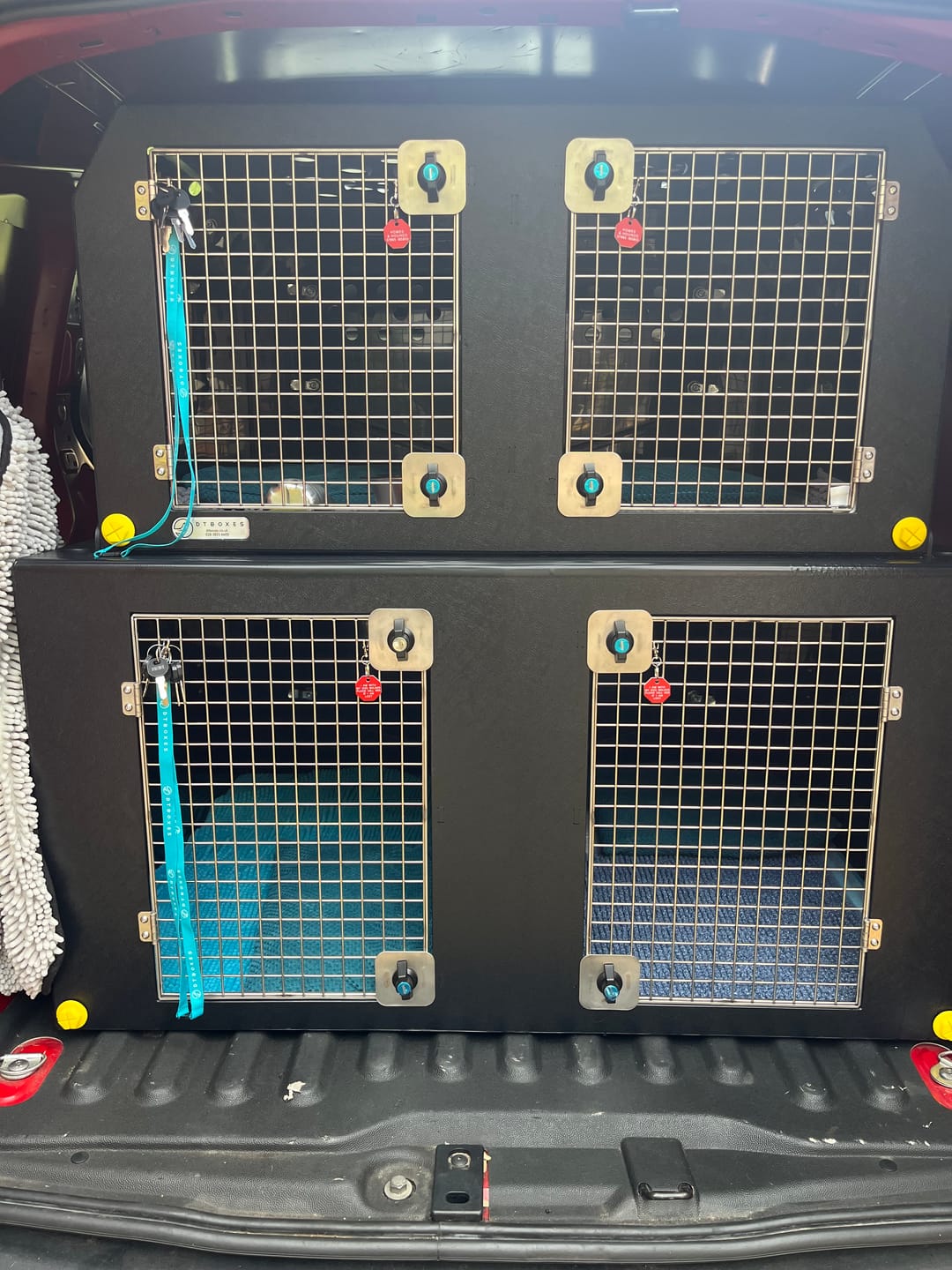 Customer photo review of Dog Van Kit | Citroën Berlingo | 2008-Present | Double stack | DT VS1