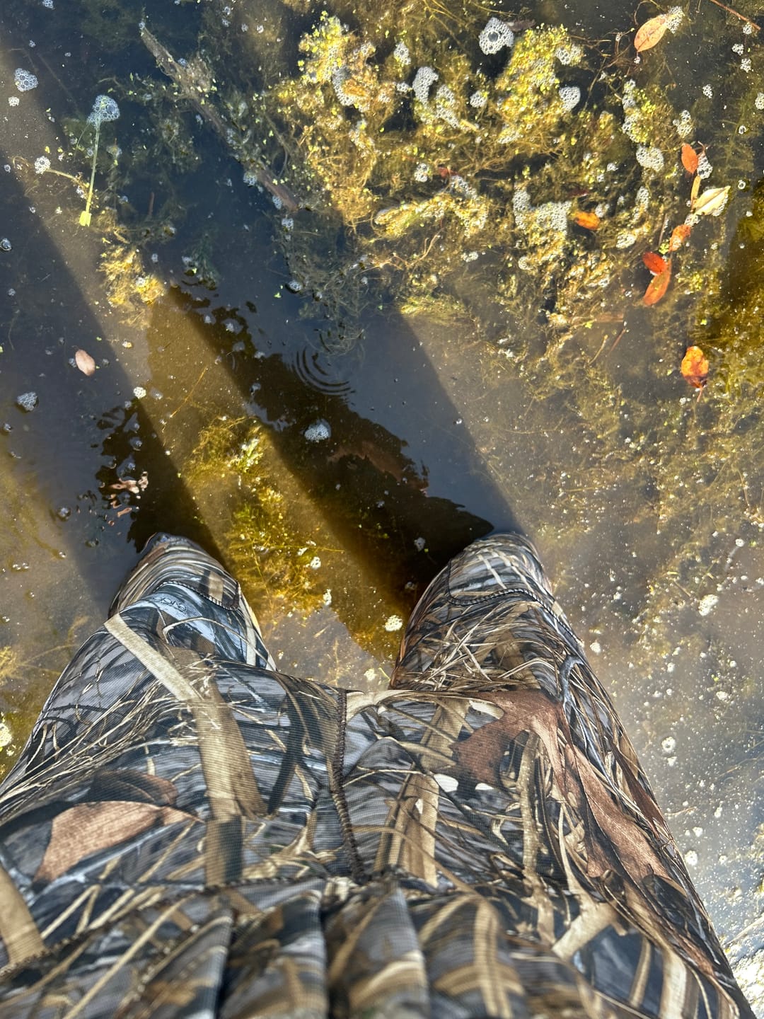 Customer photo review of Seeker Insulated Duck Waterfowl Hunting 800 Gram 3M Thinsulate Neoprene Chest Waders