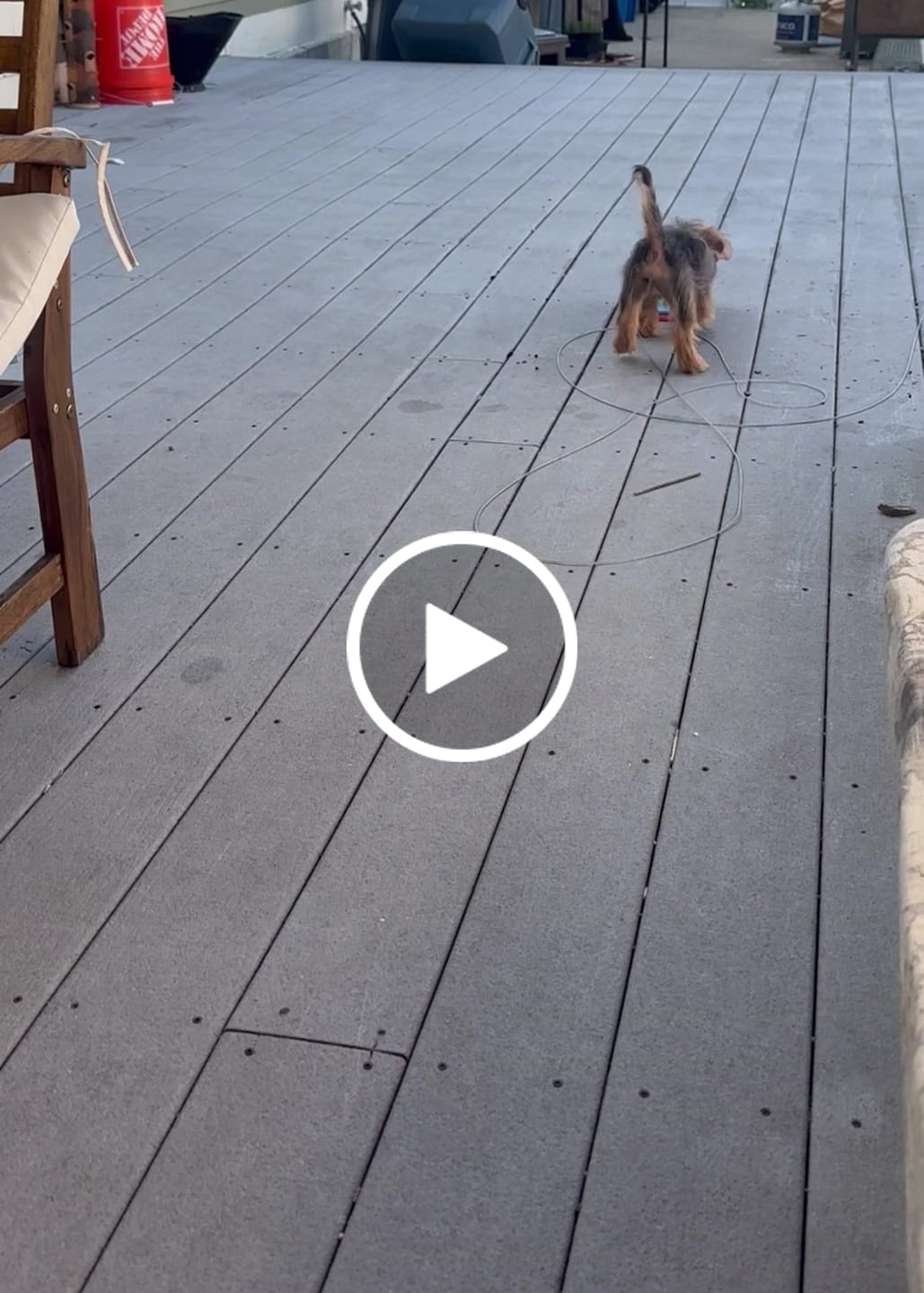 Customer video review of Pup Stack