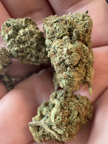 Customer photo review of Jolly Rancher