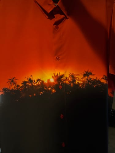 Customer photo review of Jurassic Park “Patented and Packaged” – KUNUFLEX Short Sleeve Shirt