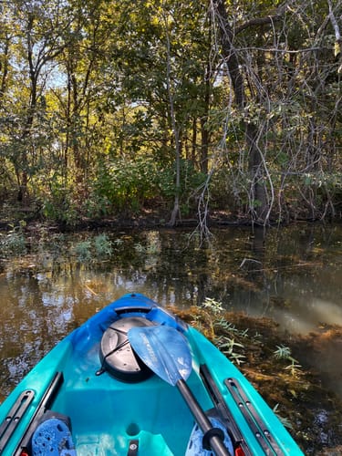 Customer photo review of Bending Branches Angler Drift Paddle