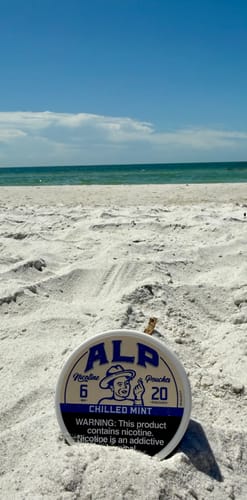 Customer photo review of Chilled Mint Nicotine Pouches