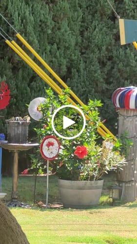 Customer video review of Two Button Fountain Pump and Battery Compartment - no connection port