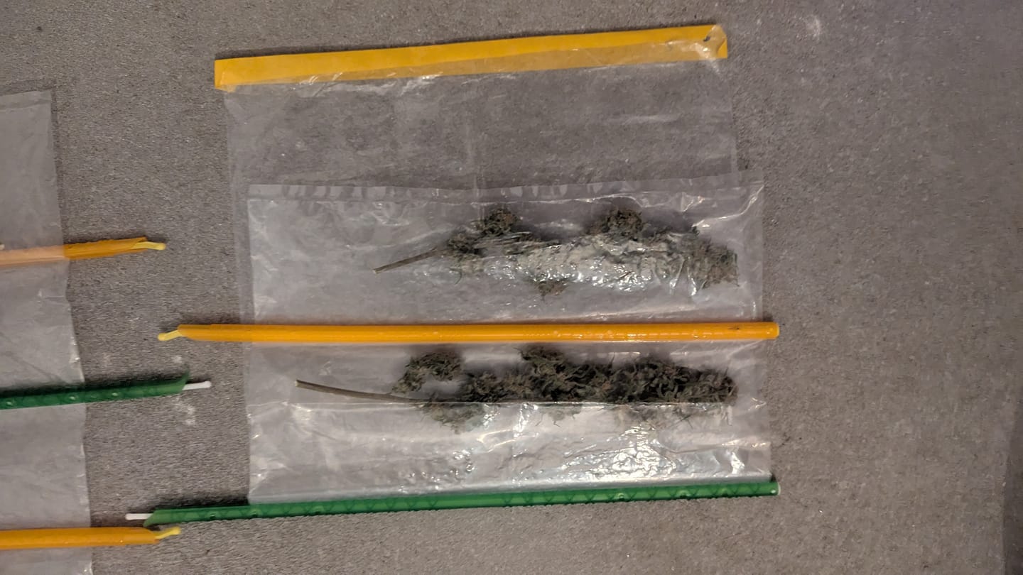 Customer photo review of Dry Ferm Bag (3er Set)