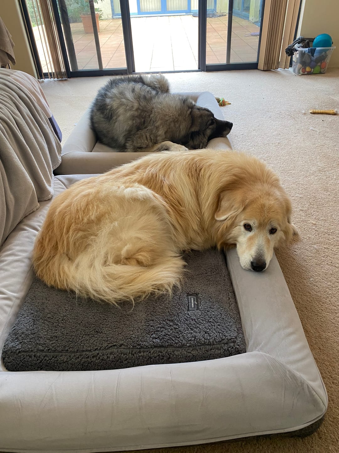 Customer photo review of Kangaroo Bed - Large