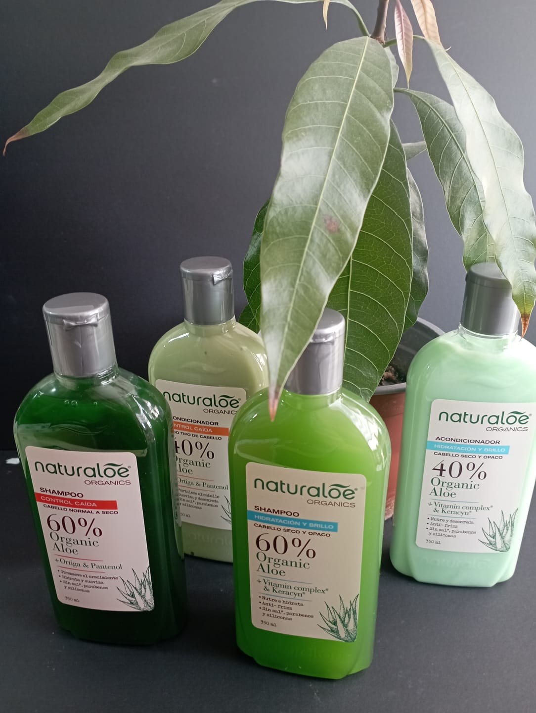 Customer photo review of Shampoo Control Caida Normal a Seco + Acondicionador 350ml