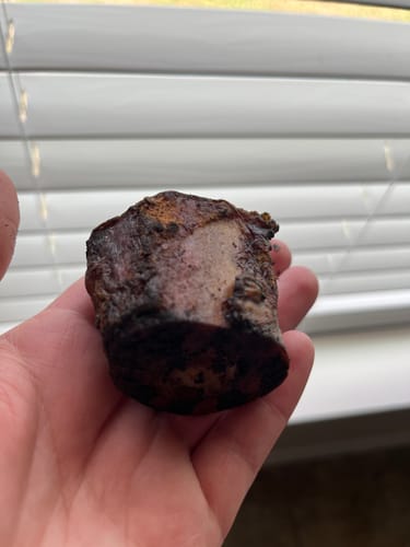 Customer photo review of Smoked Beef Marrow Bone