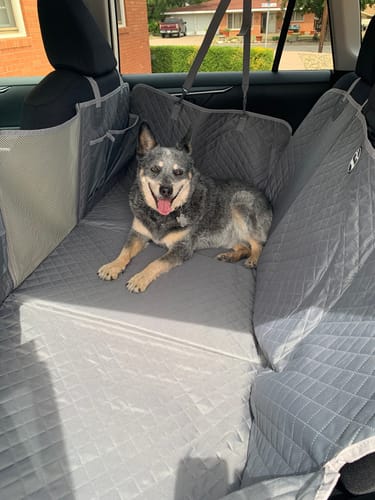Customer photo review of NEW Waterproof Hard Bottom Car & Truck Seat Foldable Hammock Cover With Storage Pockets, Side Flaps, Headrest Straps, Seat Anchors, & Mesh Window (+FREE SAFETY BELT!)
