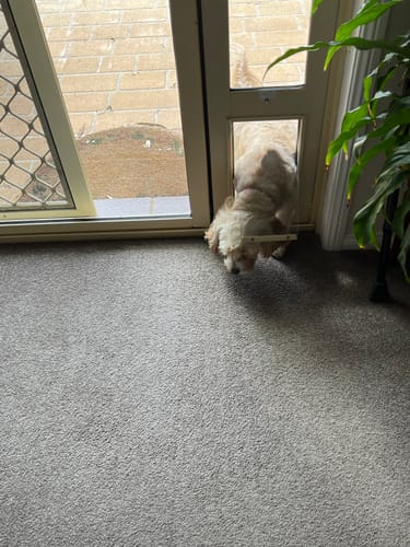 Customer photo review of Patio Pet Door Insert