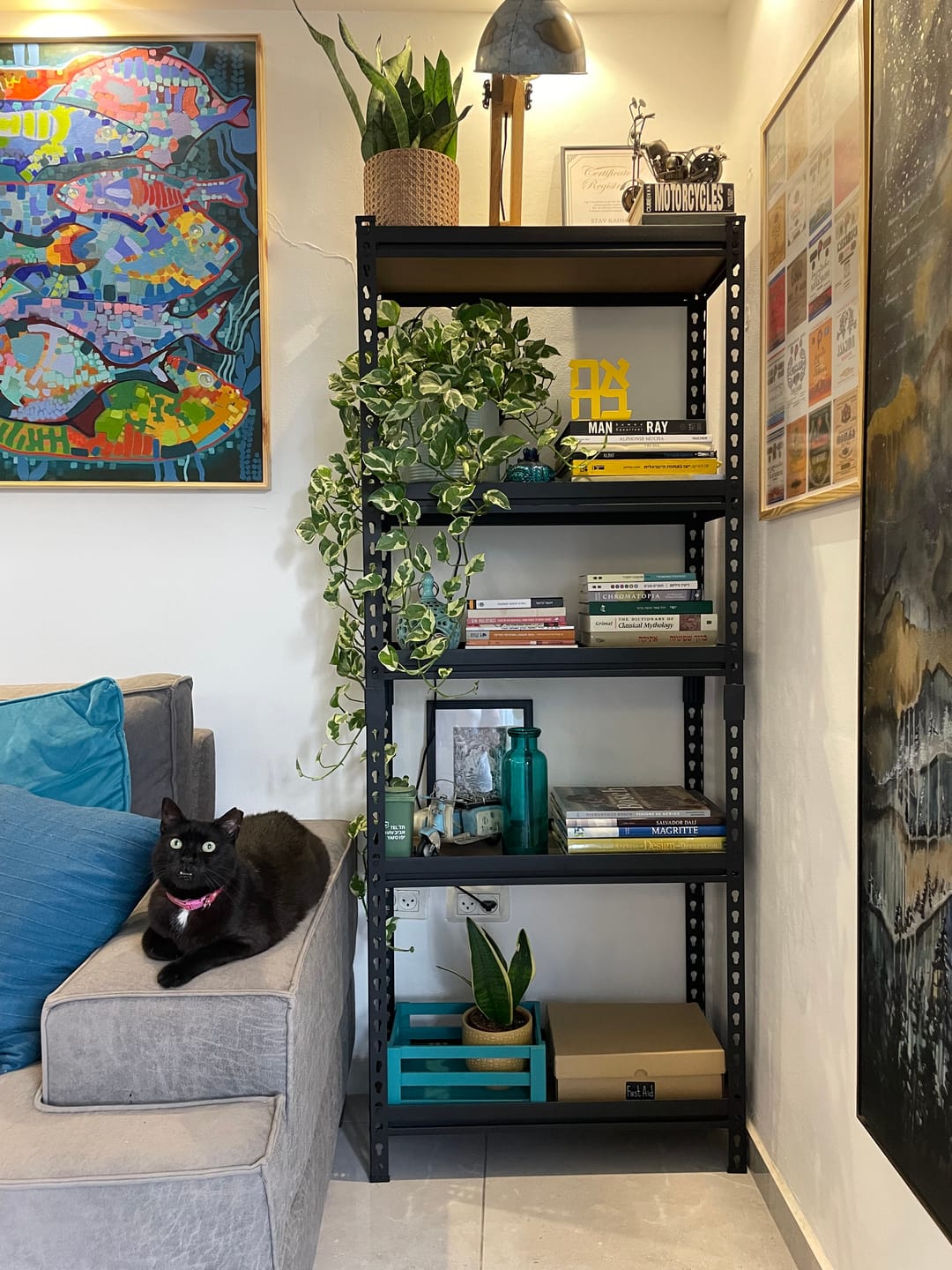 Customer photo review of כוננית מתכת פרמיום 5 מדפים מודולריים גובה 1.8 מטר